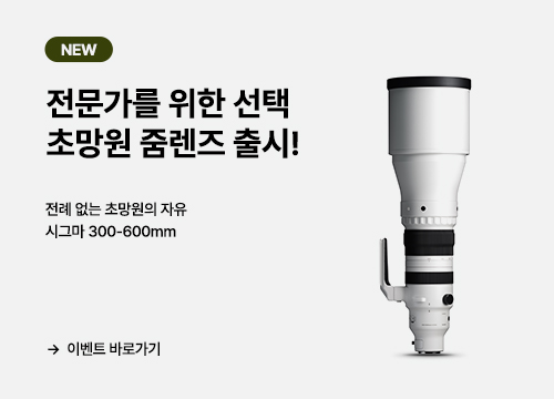 SIGMA S 300-600mm 출시