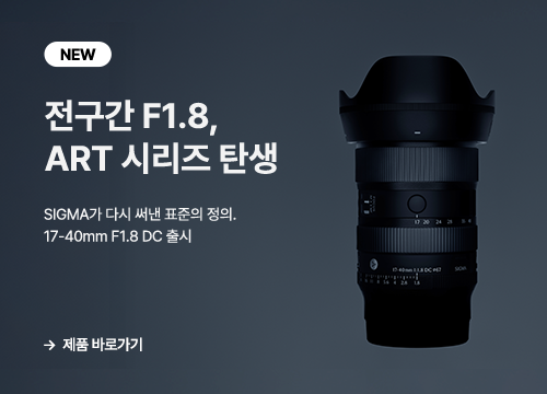 시그마 17-40mm