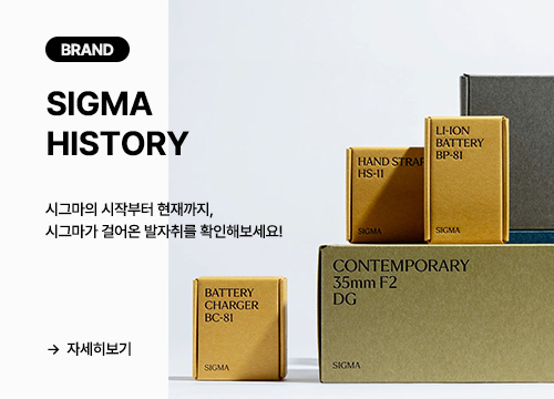 SIGMA HISTORY