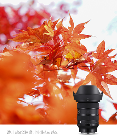 24-70mm F2.8 DG DN II | Art (SE)