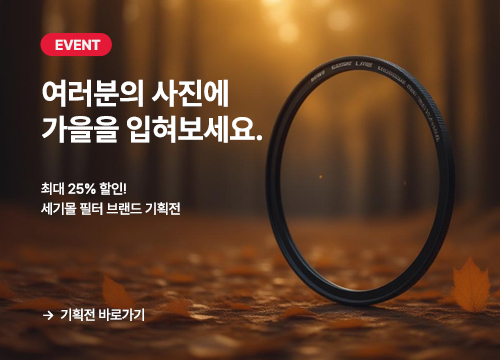 세기몰 필터 기획전