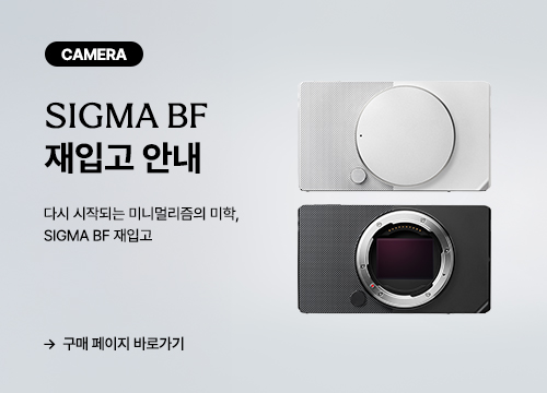 시그마 BF 재입고 안내