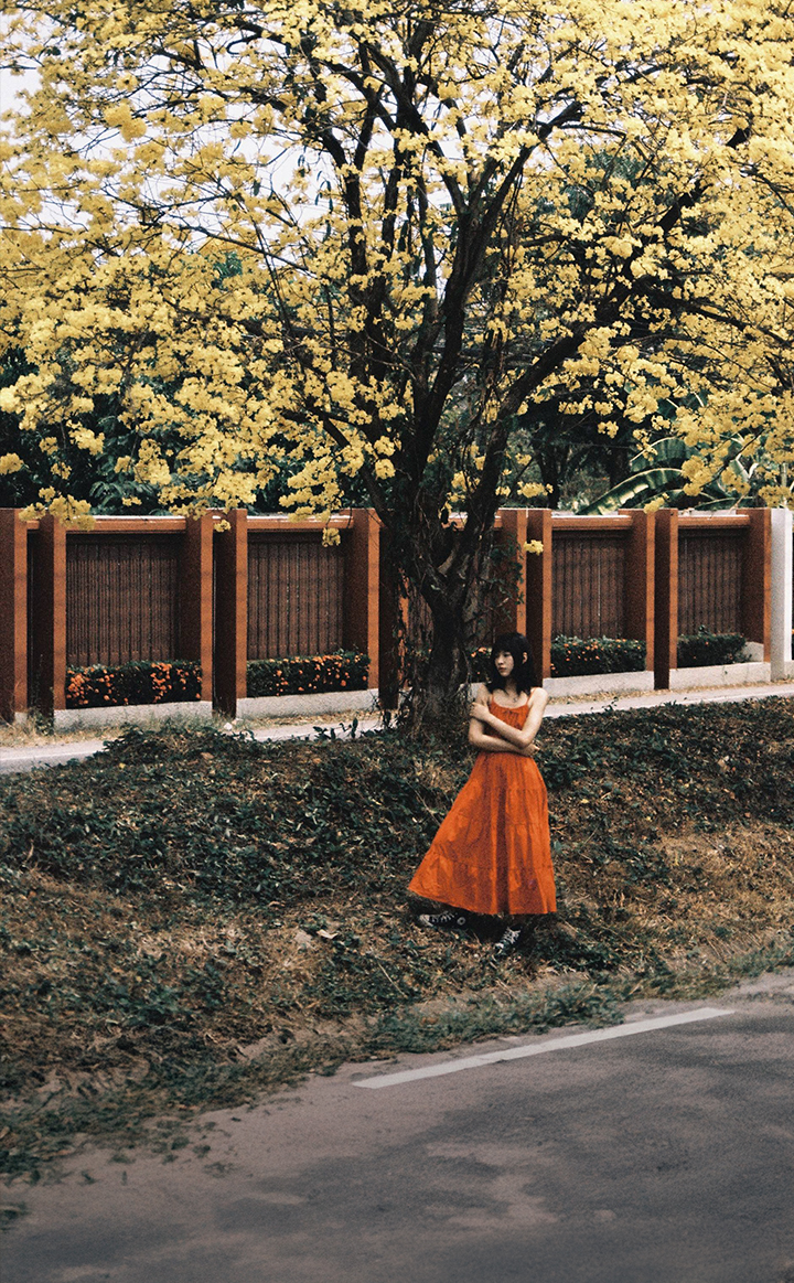 LOMOGRAPHY 신규 런칭