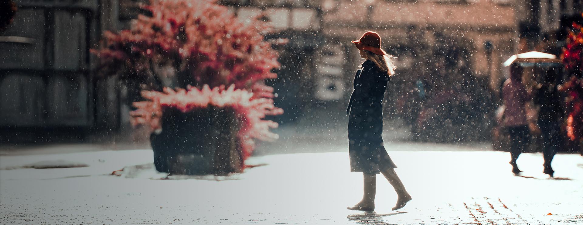 Laowa 200mm 예약판매 이벤트