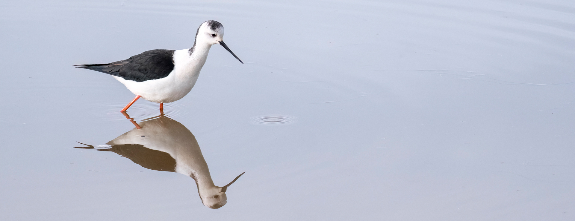 시그마 탐조 원데이 클래스