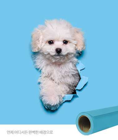 배경지 2m KIT (1-2 #03분홍색 #38노란색 #47민트색)