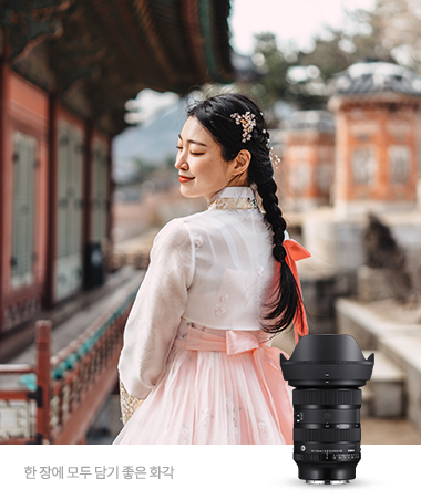 24-70mm F2.8 DG DN II | Art (SE)