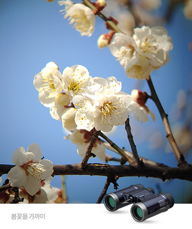 PENTAX UD 9x21 (BLACK)