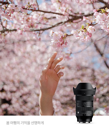 17-40mm F1.8 DC | Art (SE)