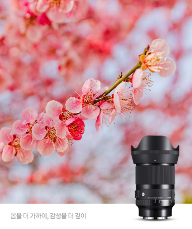 35mm F1.4 DG DN | Art (SE)