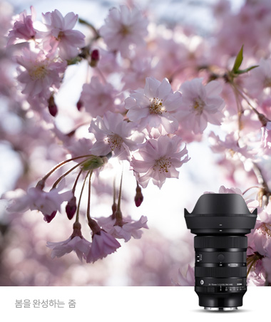 24-70mm F2.8 DG DN II | Art (SE)