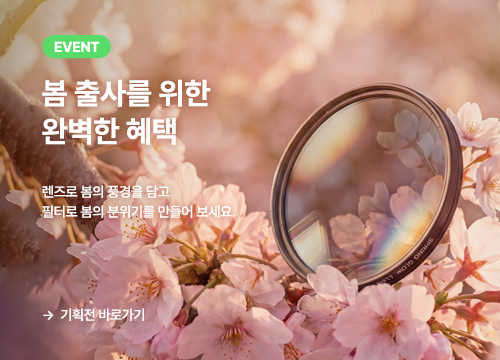 봄 필터 기획전