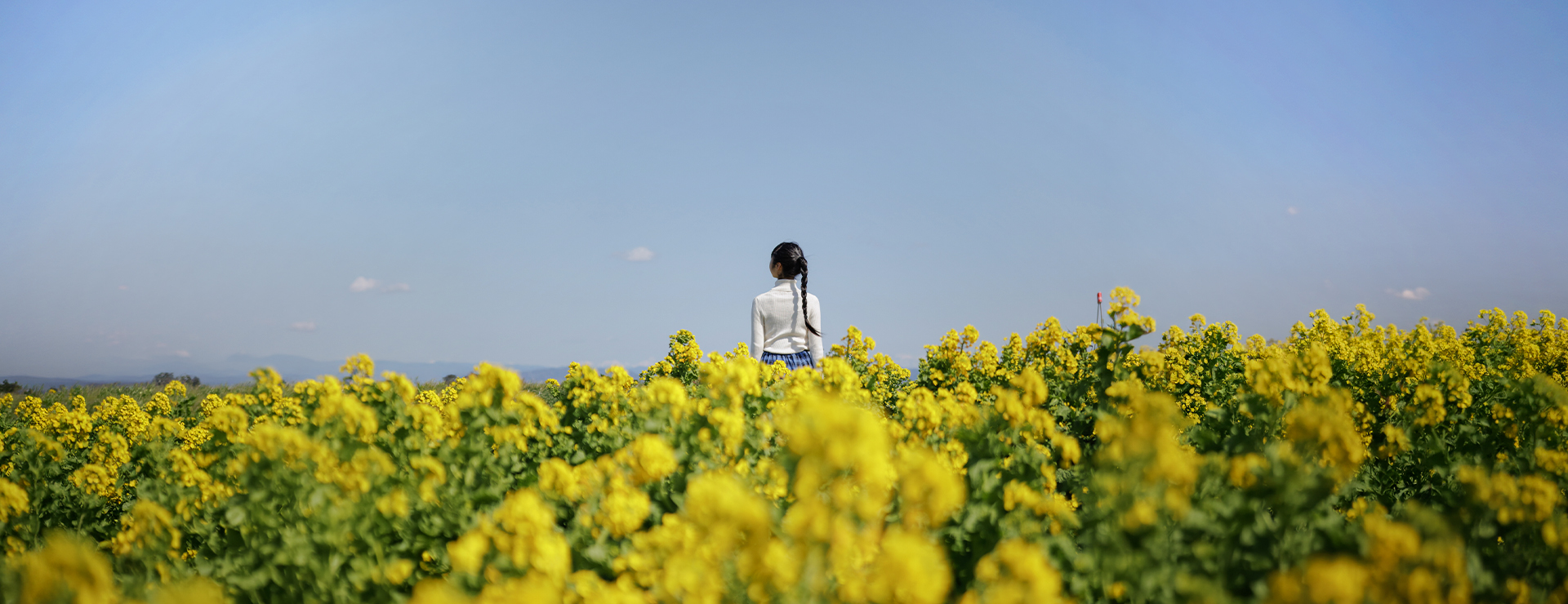 SIGMA 17-40MM 정품등록