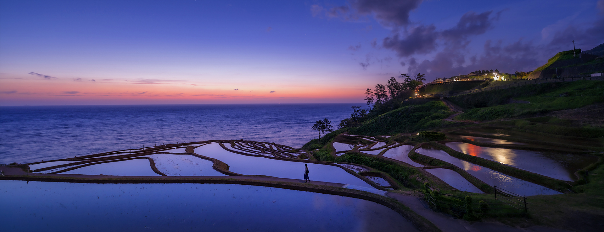 14mm F1.4 DG | Art 재입고 안내