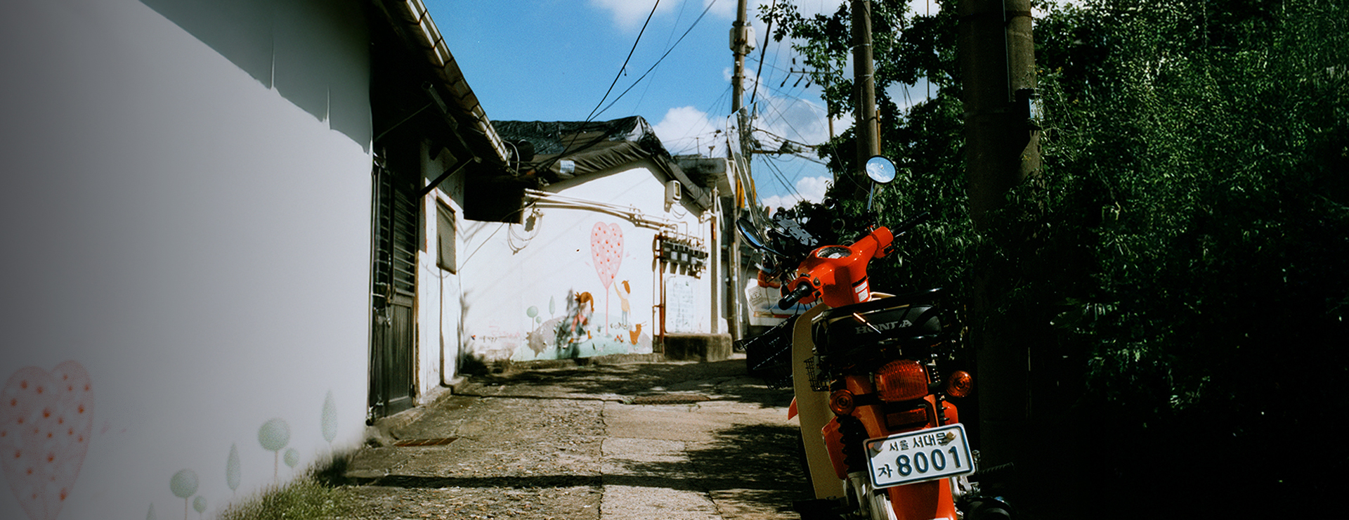 HARMAN 컬러 필름 기획전