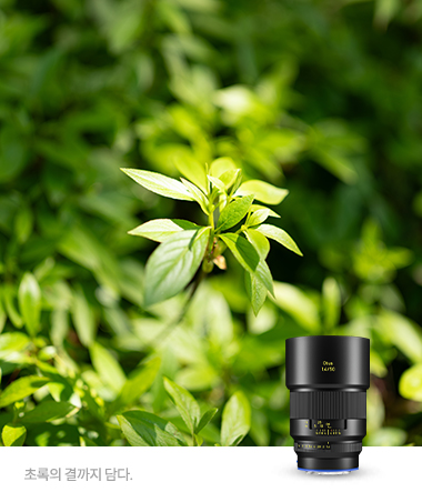 ZEISS OTUS ML 1.4/50 (E)