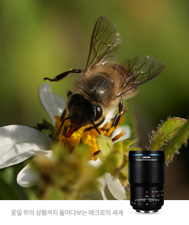 Laowa 90mm f/2.8 2X Ultra Macro APO - Sony FE