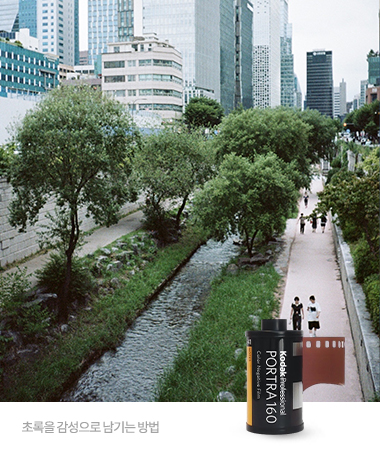 코닥 포트라 160/36 컬러 필름