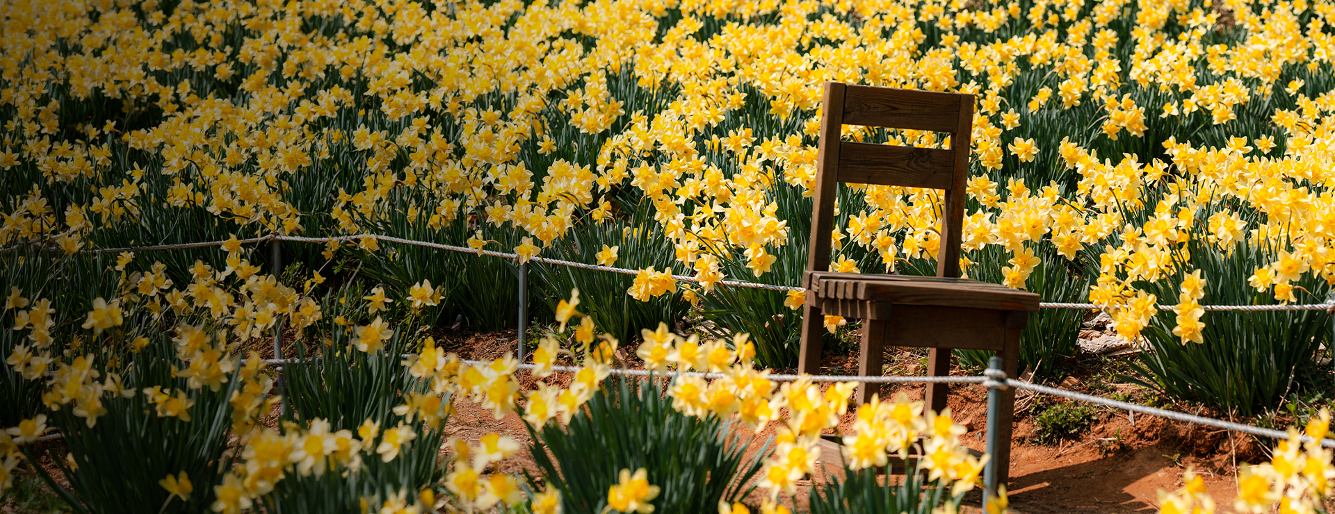 4월 테마공모전