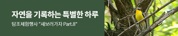 탐조체험행사 