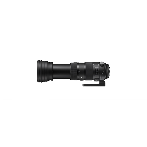 150-600mm F5-6.3 DG OS HSM | Sports (EF) | 세기몰